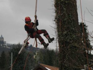 ABILITAZIONE PER “ADDETTI AI LAVORI CON SISTEMI DI ACCESSO E POSIZIONAMENTO MEDIANTE FUNI SU ALBERI” Modulo B (Art. 116 D.LGS. 81)