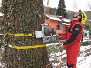 TREECLIMBING PER LAVORI DI SMONTAGGIO