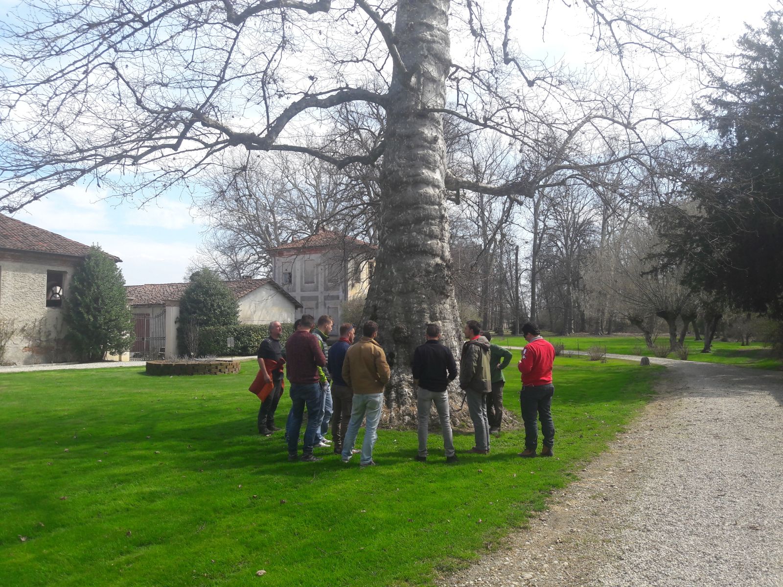 TECNICHE-DI-ARBORICOLTURA-STRUTTURA-E-FUNZIONAMENTO-DEGLI-ALBERI-16-ORE