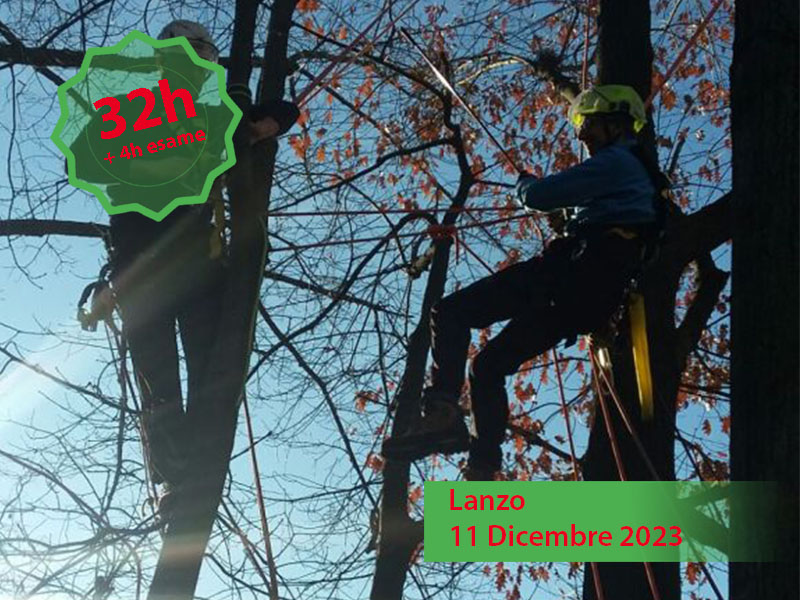 Corso di abilitazione di 32h per addetti ai lavori con sistemi di accesso e posizionamento mediante funi su alberi
