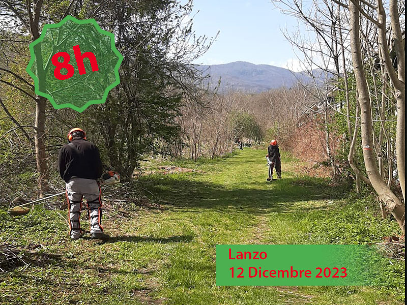 Corso di 8h per l'utilizzo in sicurezza del decespugliatore spalleggiato