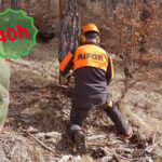 ABBATTIMENTO ALBERI MEDIE DIMENSIONI E ALLESTIMENTO LEGNAME -UF3-40ore - AIFOR.IT Corso di 40h per abbattimento alberi medie dimensioni e allestimento legname