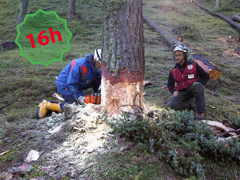 CORSO AVANZATO ABBATTIMENTO E ALLESTIMENTO LEGNAME SOTTO ELETTRODOTTI AEREI-16h - AIFOR.IT