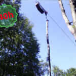 ESBOSCO LEGNAME CON GRU A CAVO DI TIPO TRADIZIONALE E STAZIONE MOTRICE MOBILE – T1-40h - AIFOR.IT