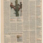 Pagina di giornale del Sole 24 Ore