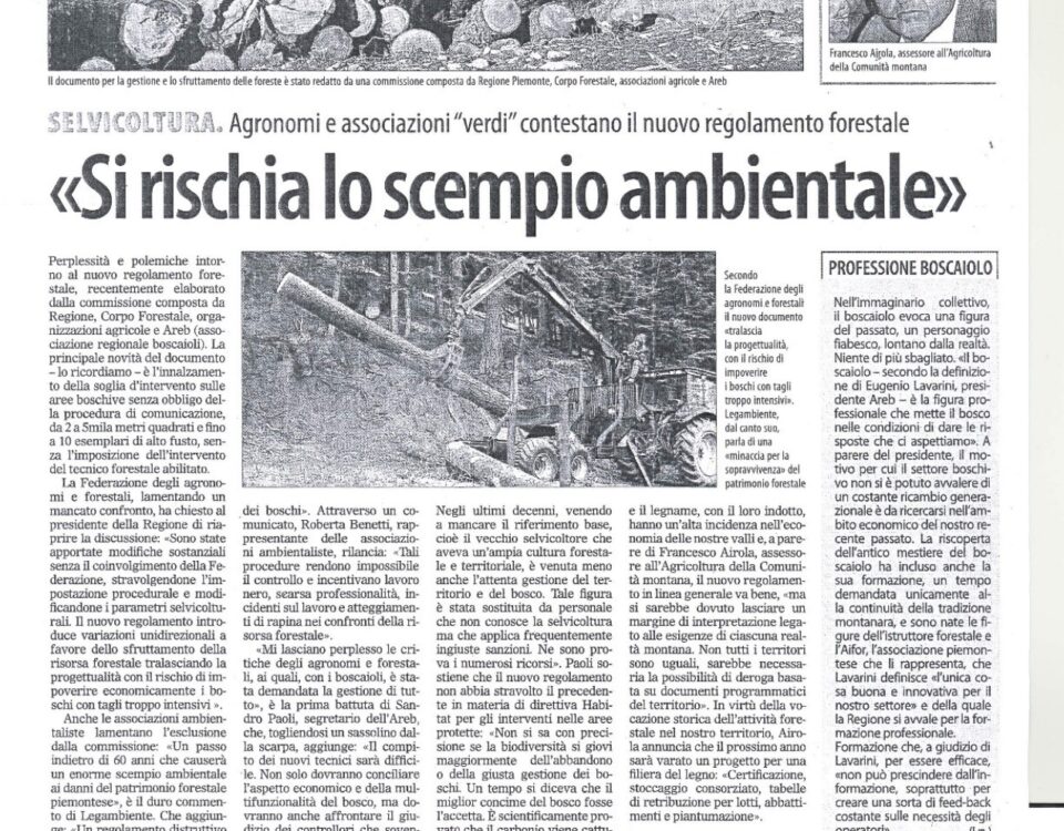 Pagina di giornale