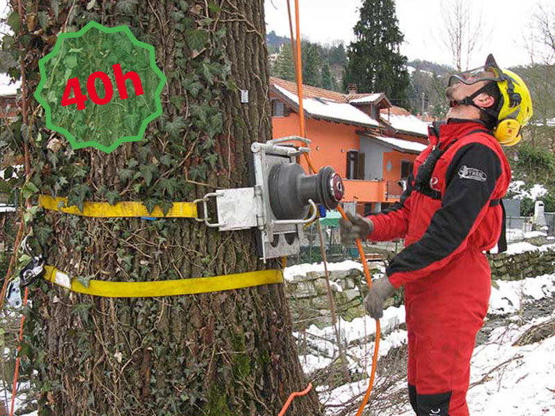 Corso di 40h per treeclimbing per lavori di smontaggio