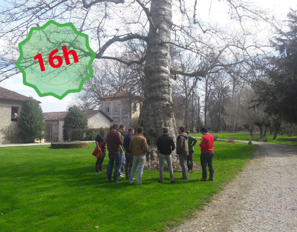 Lezione di arboricoltura