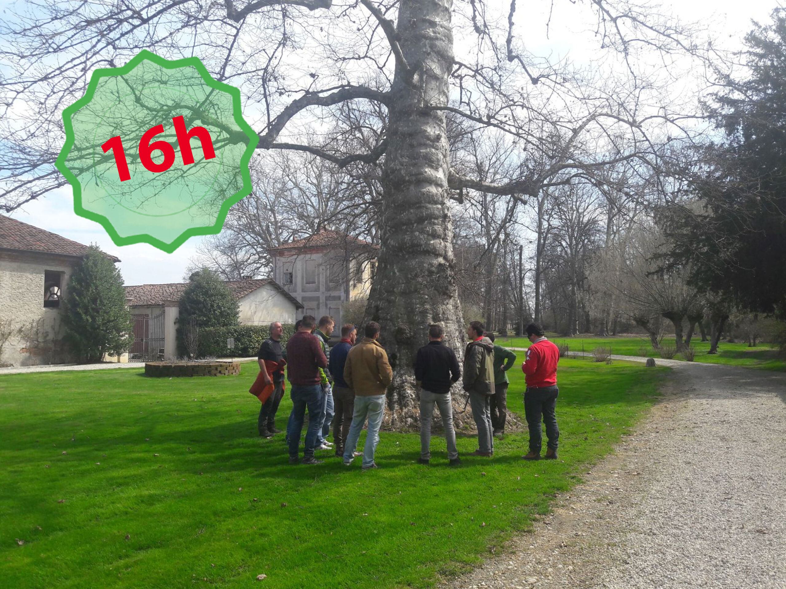 arboricoltura-durata - AIFOR.IT Lezione di arboricoltura