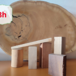 CORSO CARATTERISTICHE MACROSCOPICHE PER IL RICONOSCIMENTO DEL LEGNO - AIFOR.IT CORSO CARATTERISTICHE MACROSCOPICHE PER IL RICONOSCIMENTO DEL LEGNO