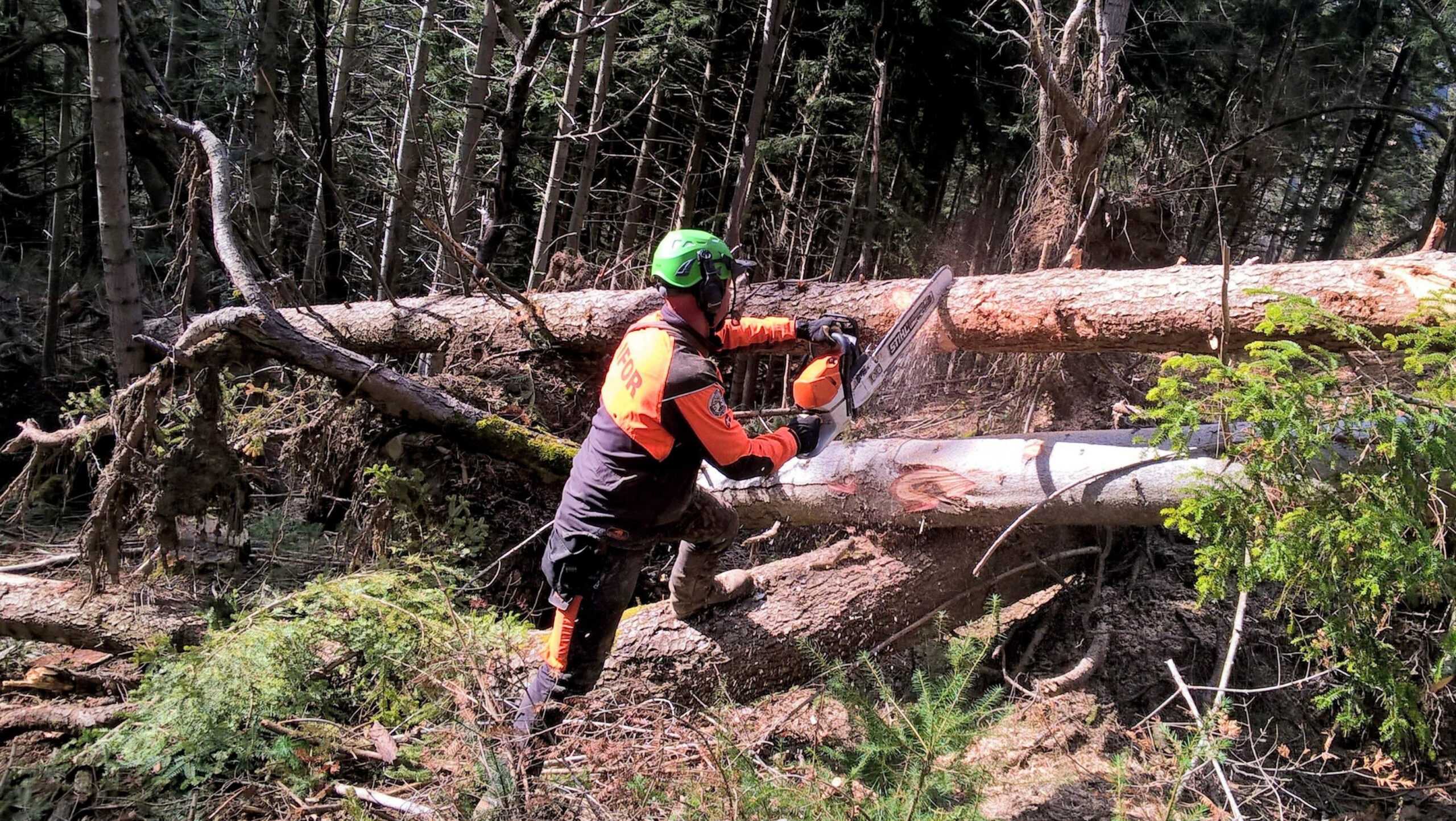 Progetto-fortrisk - AIFOR.IT