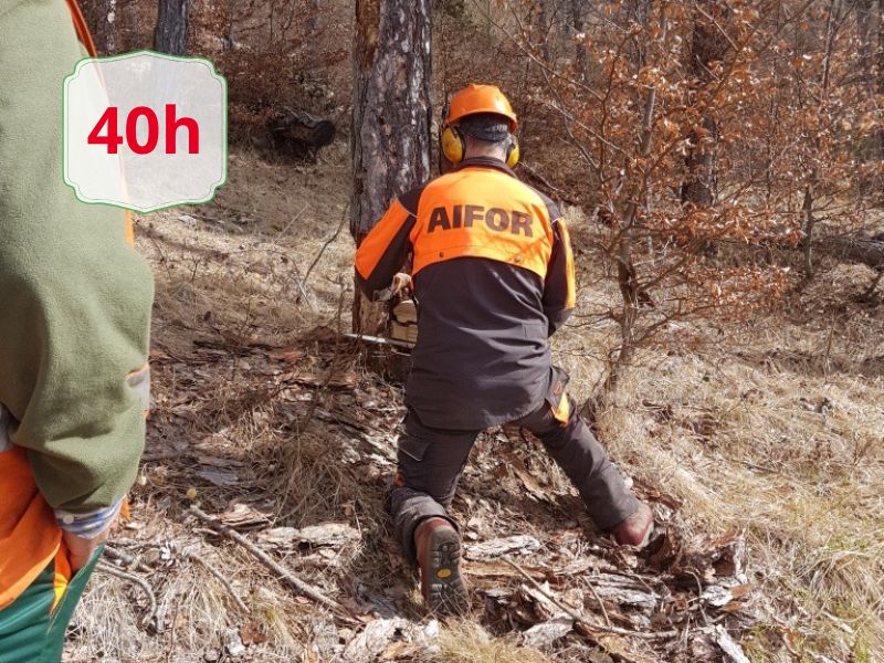 Forest worker in orange safety gear kneeling and cutting wood with a chainsaw near a tree; AIFOR on the back, 40h badge overlay