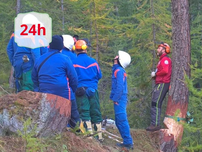 Forest rescue team in blue uniforms and helmets listens to a briefing in a wooded area; a person in red gear stands to the side, 24h badge visible
