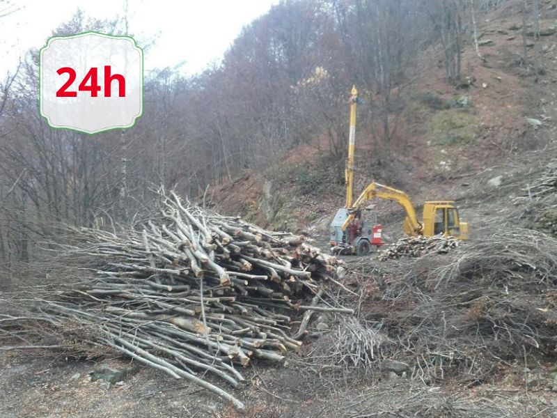 Pile of freshly cut logs stacked on a hillside with a yellow excavator in the background; a logging operation in progress.