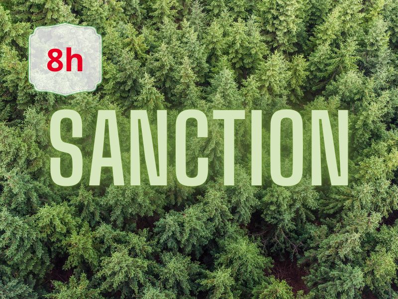 Aerial view of dense evergreen forest with the word SANCTION and a red 8h badge in the corner.