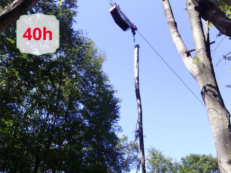 Wooden log/jointed pole hoisted by a crane or cable between trees against a clear blue sky; a roadside sign reads 40h in the upper left corner.