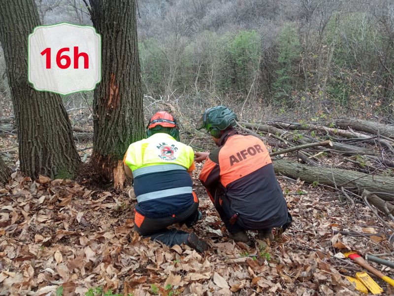 Two rescue workers in high‑visibility jackets and helmets crouch on leaf litter at a forest edge, a white sign with a red "16h" on a nearby tree.