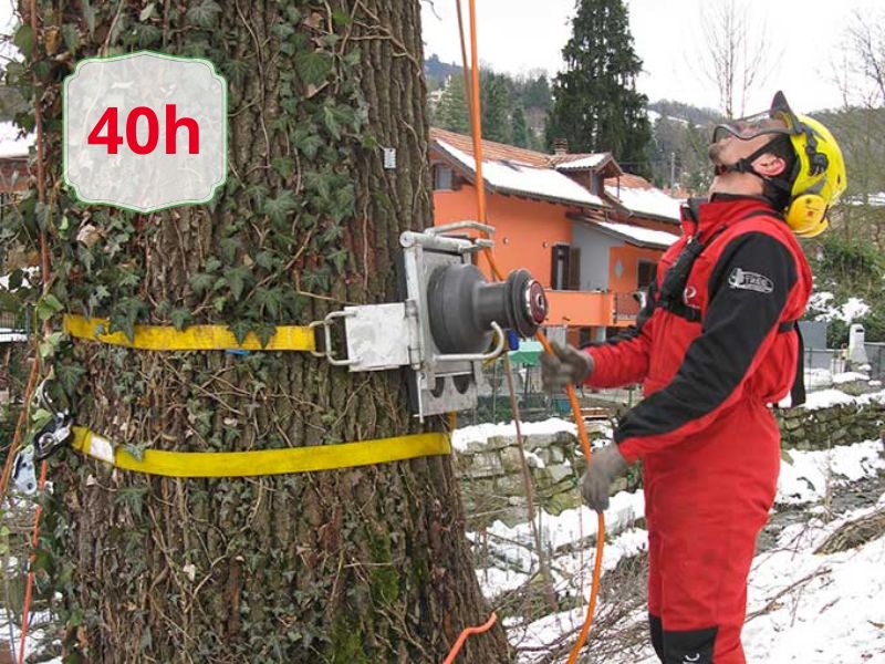 Worker in red protective suit and helmet operating a winch strapped to a large tree in a snowy yard; a '40h' sign is on the trunk.