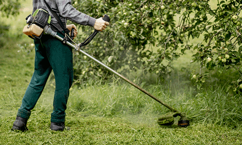 Utilizzo-in-sicurezza-del-decespugliatore - AIFOR.IT Person wearing protective gear using a gas-powered weed trimmer to cut grass near bushes and trees in a garden outdoor area.