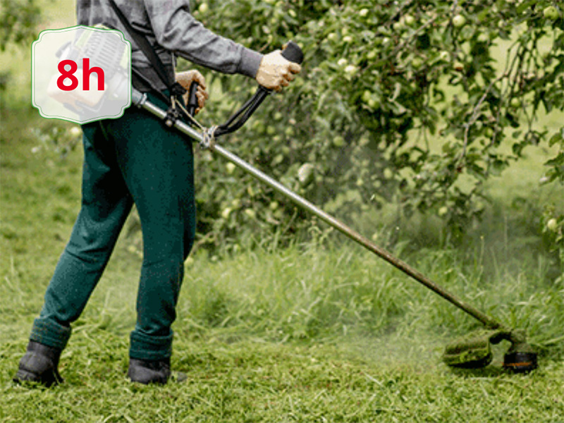 corso utilizzo decespugliatore - AIFOR.IT Person using a weed trimmer to cut grass in a yard; 8h badge in corner.