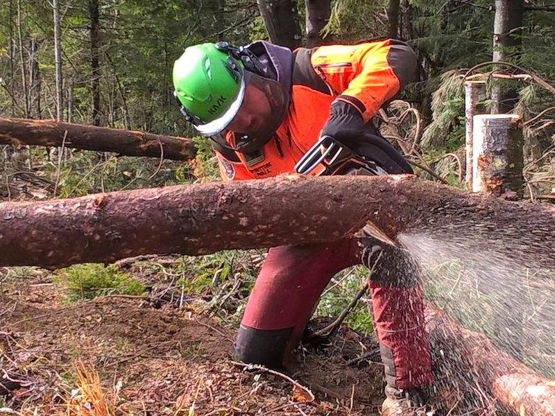 Worker in a green helmet and orange safety suit uses a chainsaw to cut a fallen log in a forest, sparks flying.