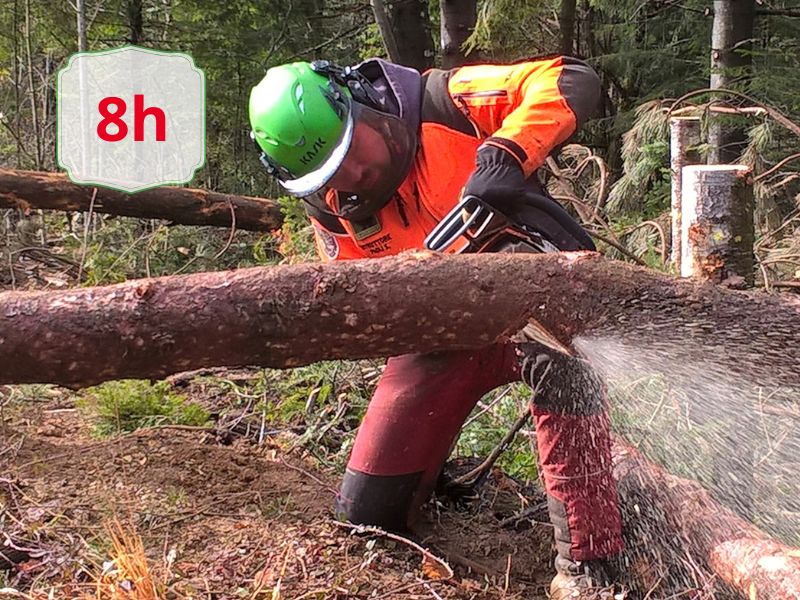 Forestry worker in orange protective gear and a green helmet cuts a fallen log with a chainsaw, sawdust spraying in a forest.